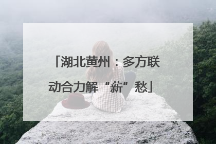 湖北黄州：多方联动合力解“薪”愁